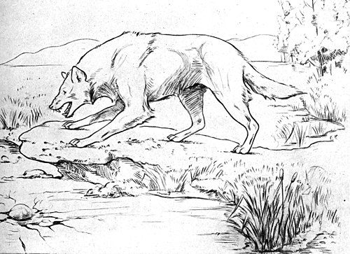 Scene at La Brea tar pits