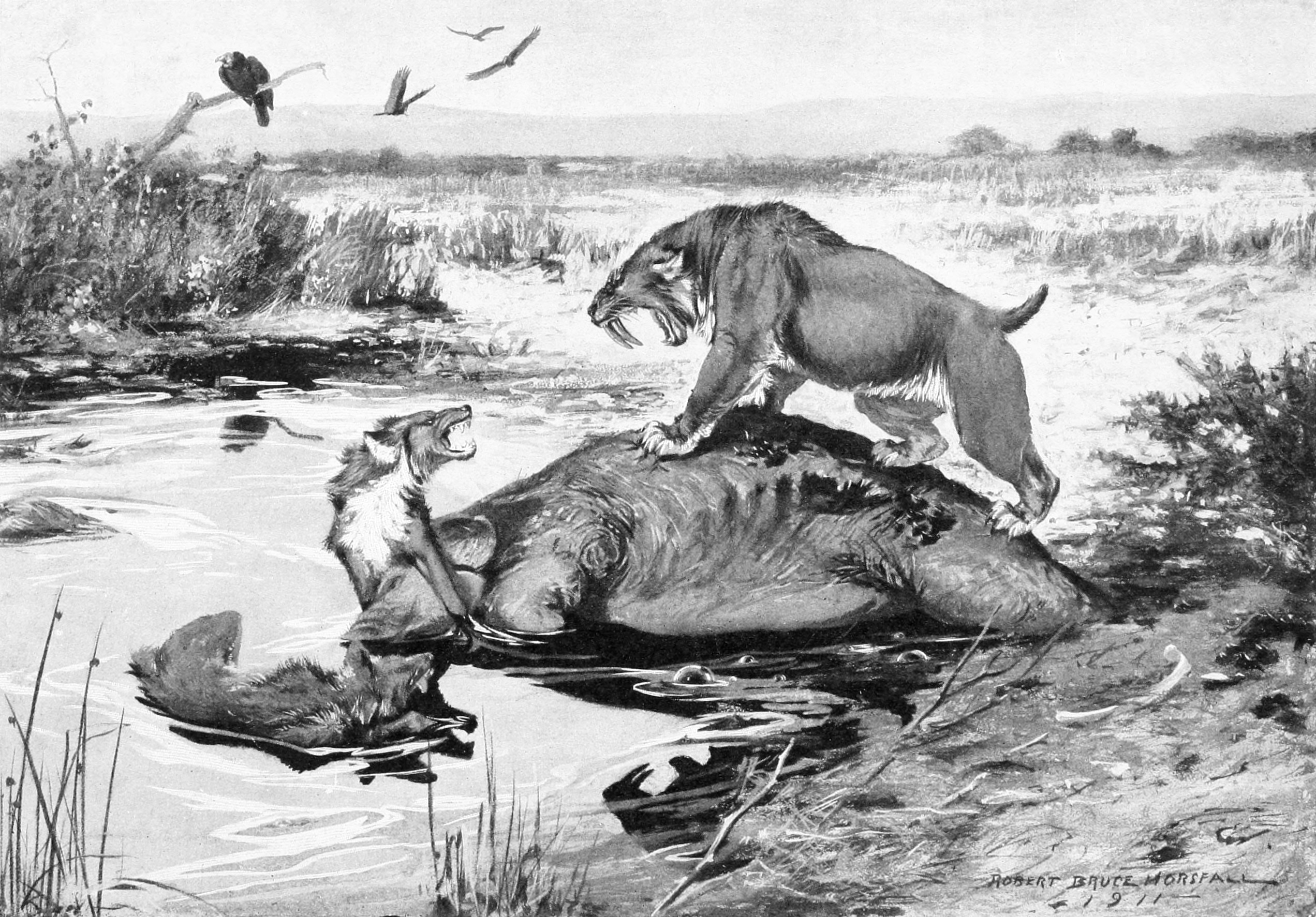 Scene at La Brea tar pits