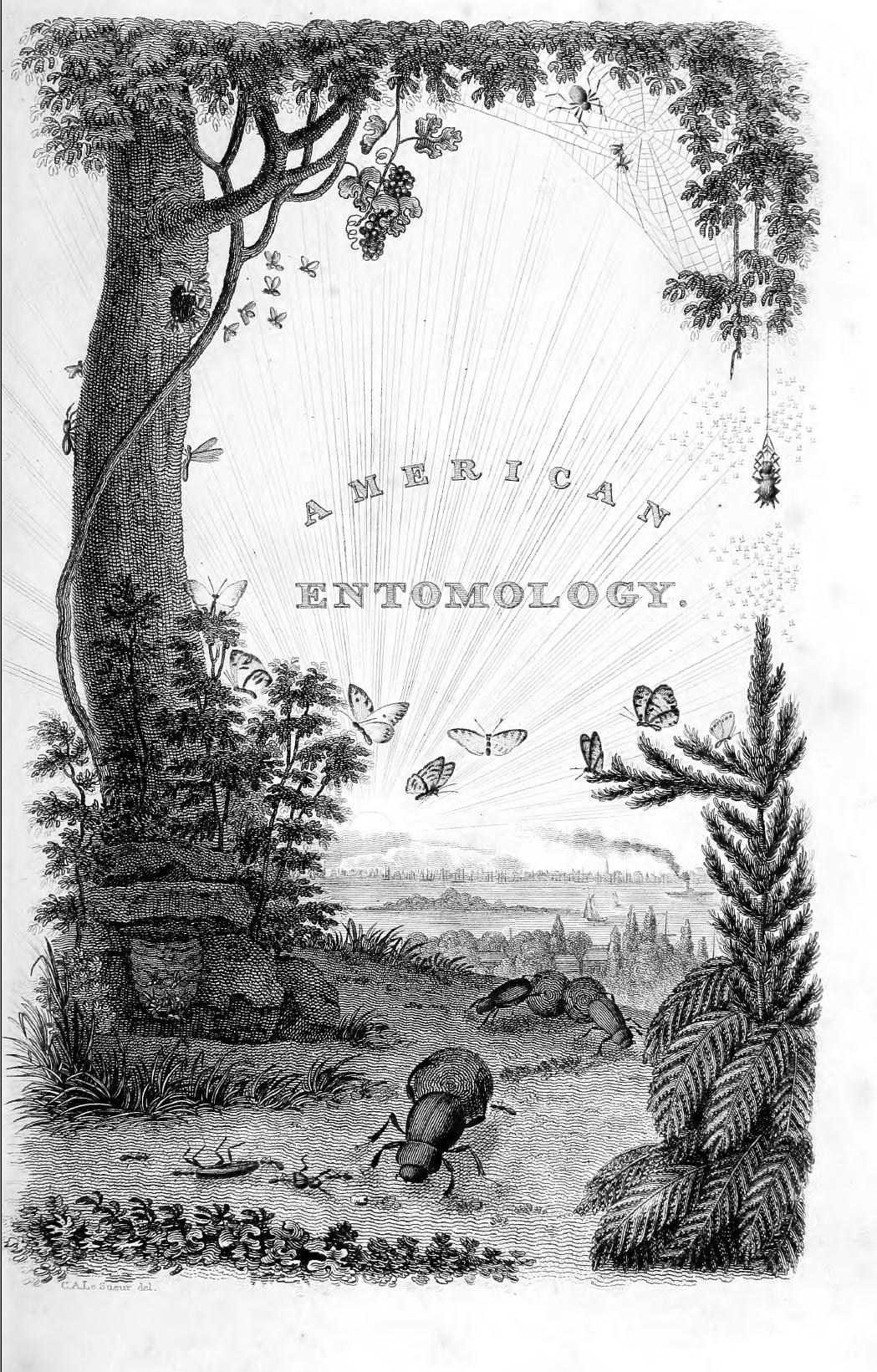 American Entomology frontispiece